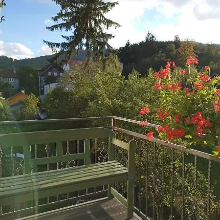 Apartment Nature Home Brasov